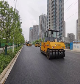 武漢光谷東湖高新開發(fā)區(qū)鳳凰一路道路工程